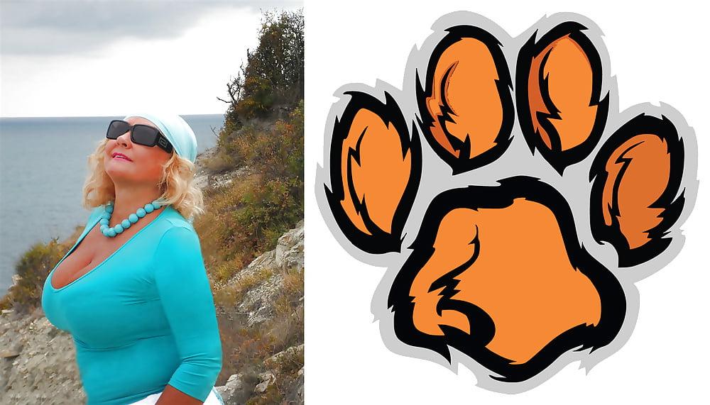 24P Cougar Collage 01