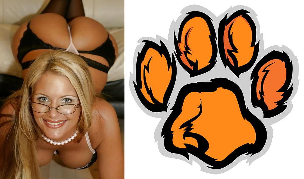 24P Cougar Collage 01