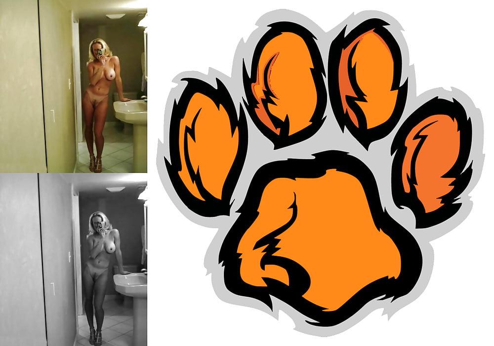 24P Cougar Collage 01