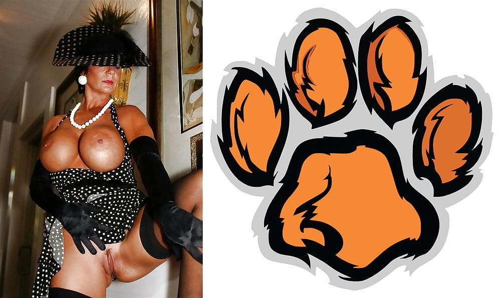 24P Cougar Collage 01