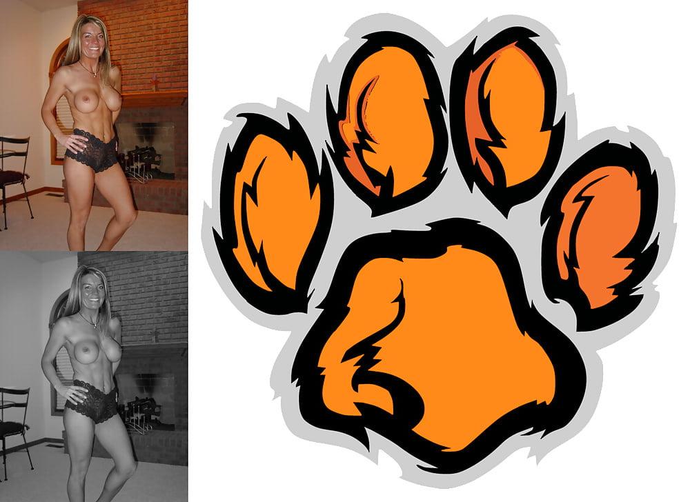 24P Cougar Collage 01