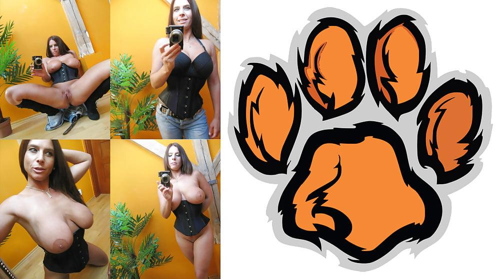 24P Cougar Collage 01