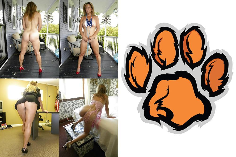 24P Cougar Collage 01