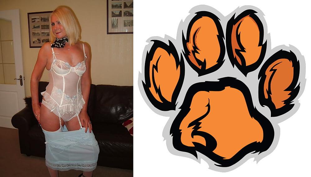 24P Cougar Collage 01