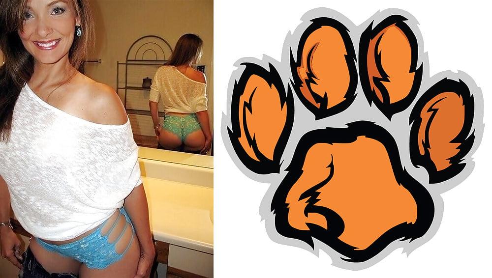 24P Cougar Collage 01
