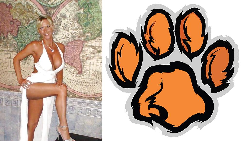 24P Cougar Collage 01