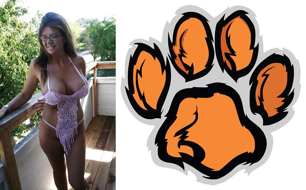 24P Cougar Collage 01