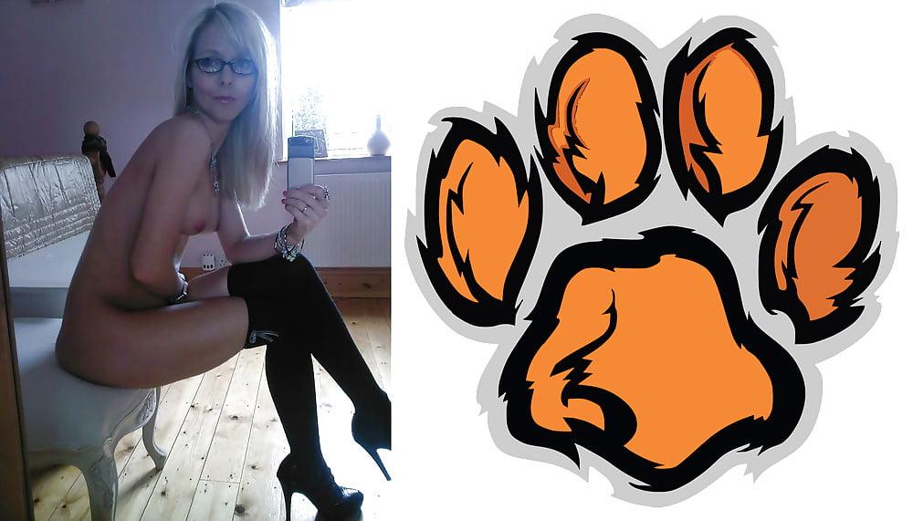 24P Cougar Collage 01