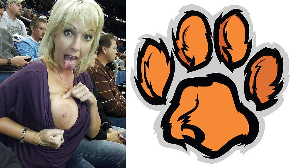 24P Cougar Collage 01