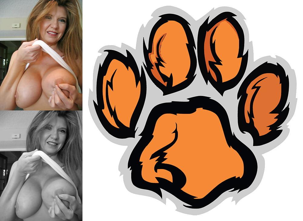 24P Cougar Collage 01