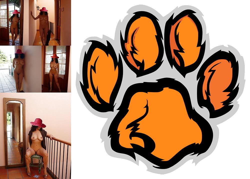 24P Cougar Collage 01