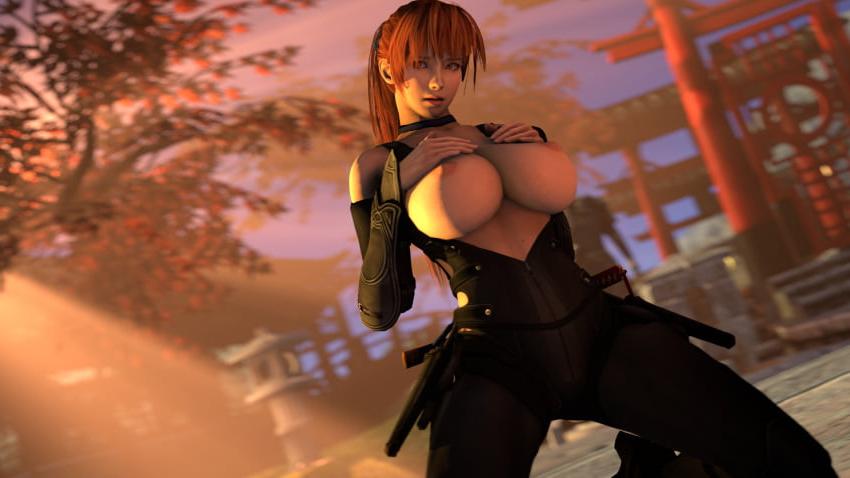 12P Video game Vixens vol 9- Kasumi