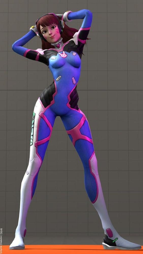 9P Video game Vixens vol 8- D.VA