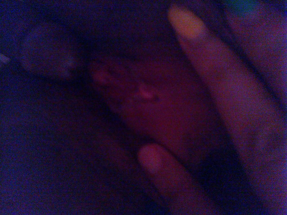 11P Young  rabbit ridding a cougar