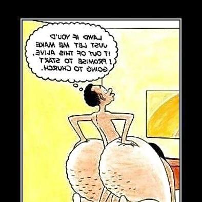 16P Lustige Cartoons.