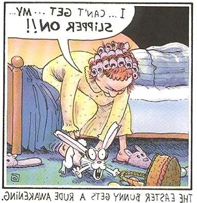 16P Lustige Cartoons.