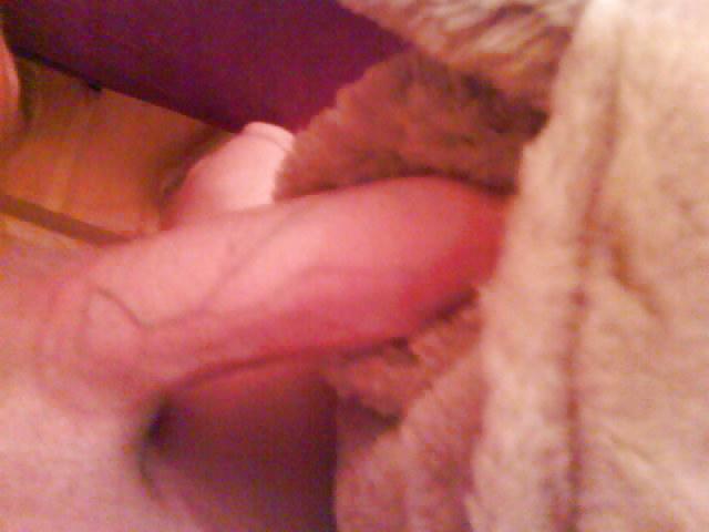 8P Old Fur-Fleece Pics
