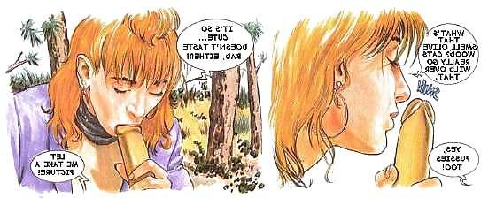 15P 17 Cartoon