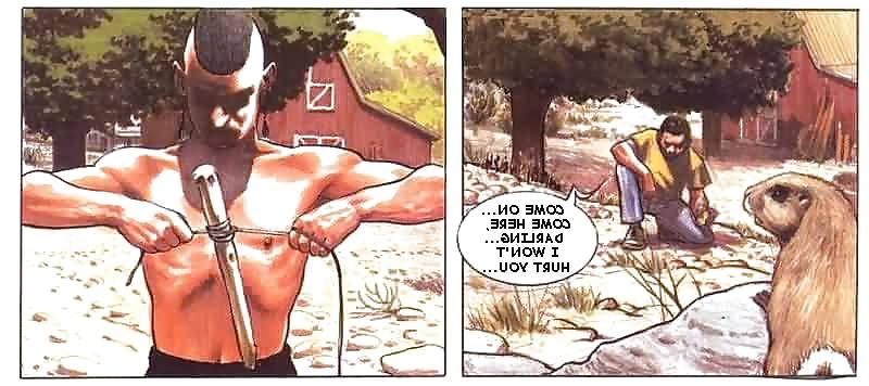 15P 27 Cartoon