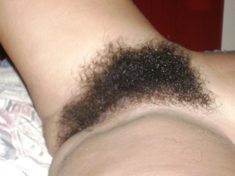 12P Casal Peludo 2 - Jotha Hele