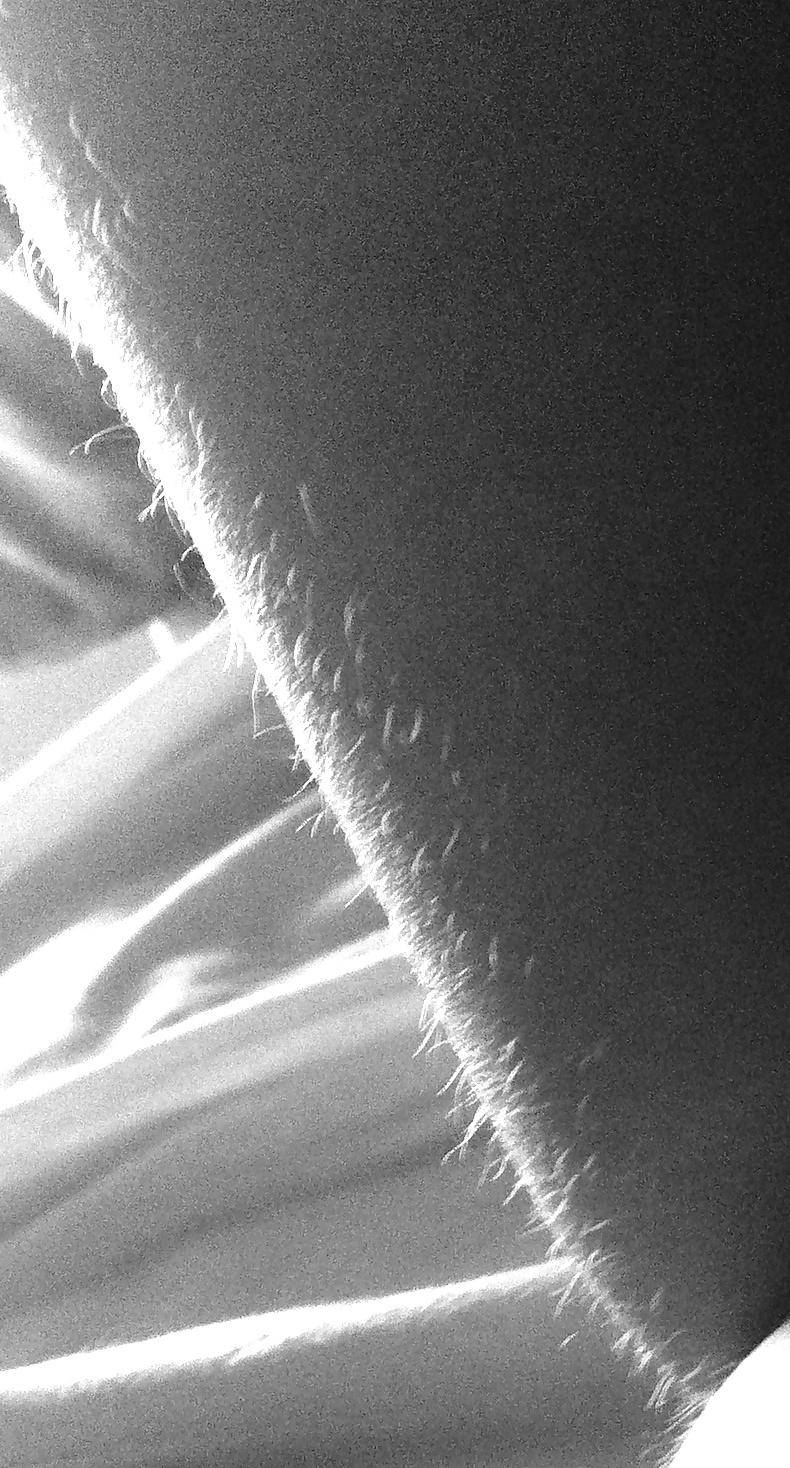 17P Please cum all over me