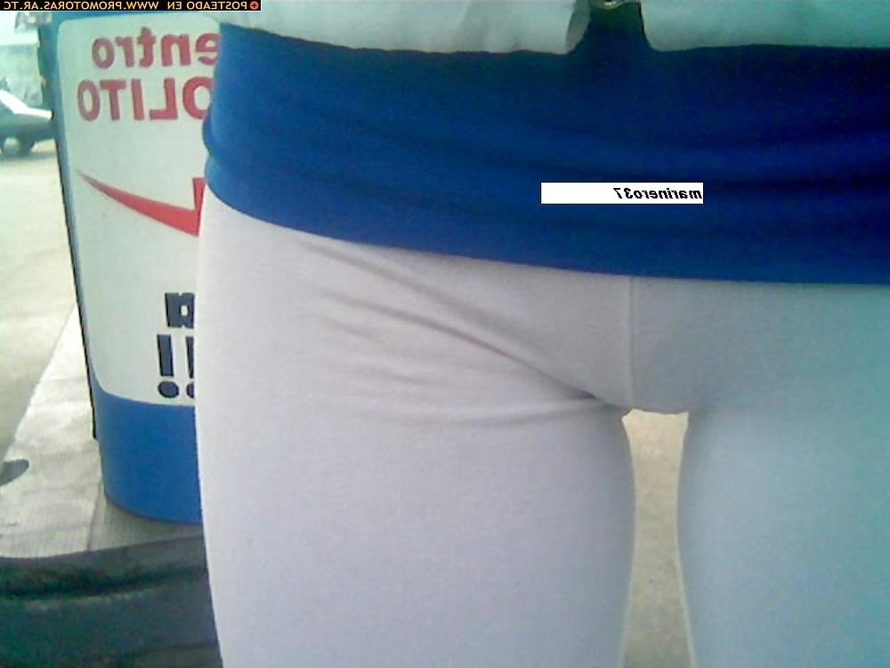 15P Asses 