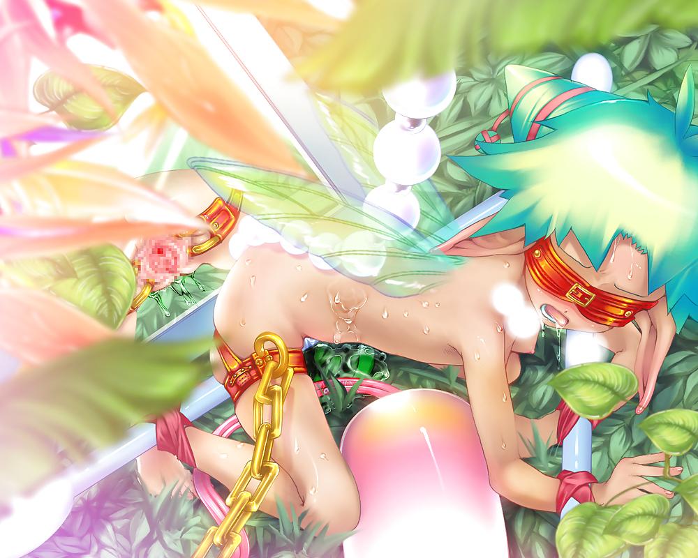 19P Fairy