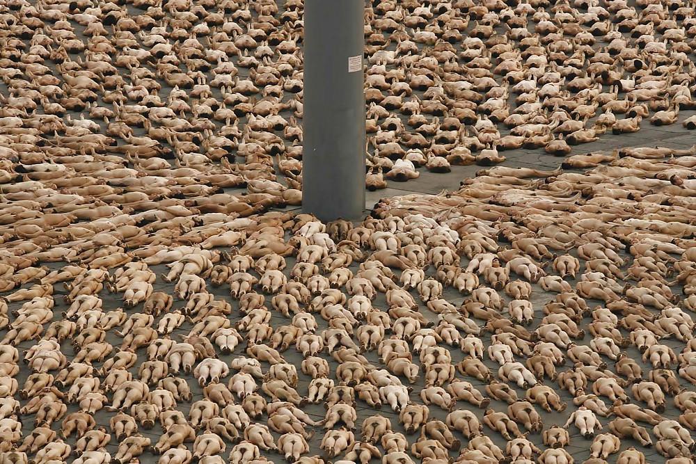 25P Spencer Tunick - Naked World