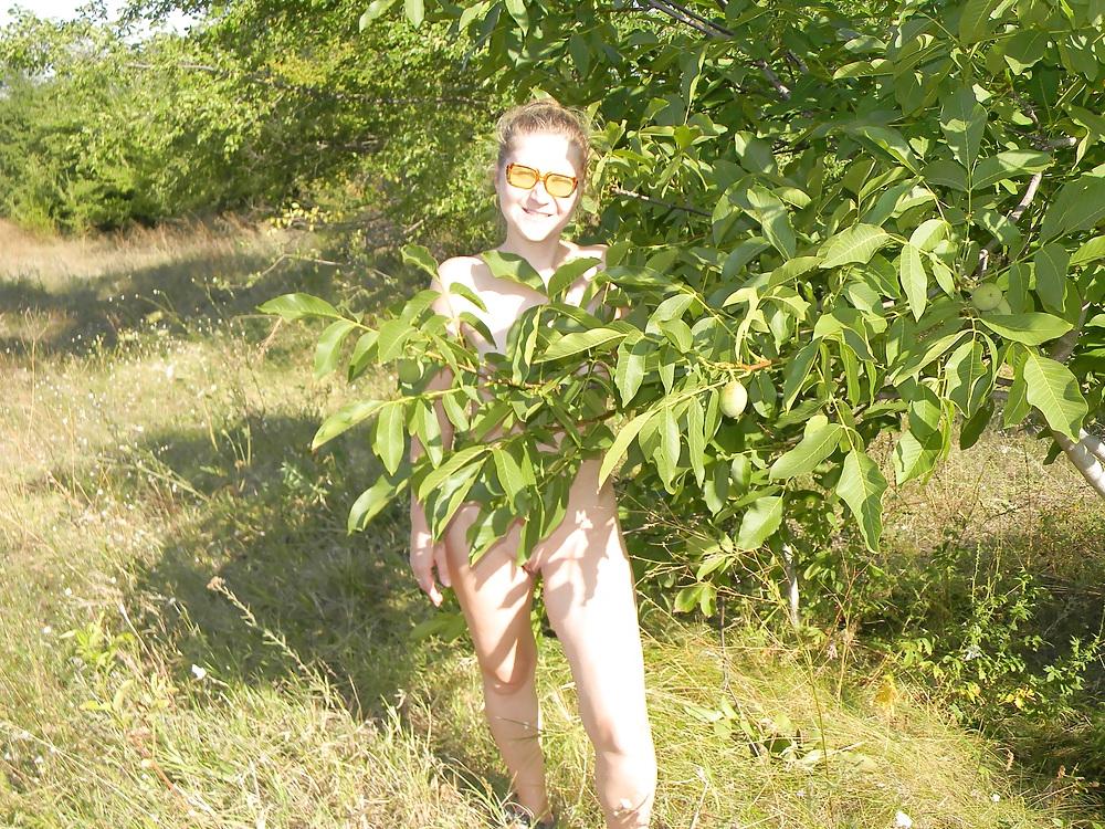25P Walnut