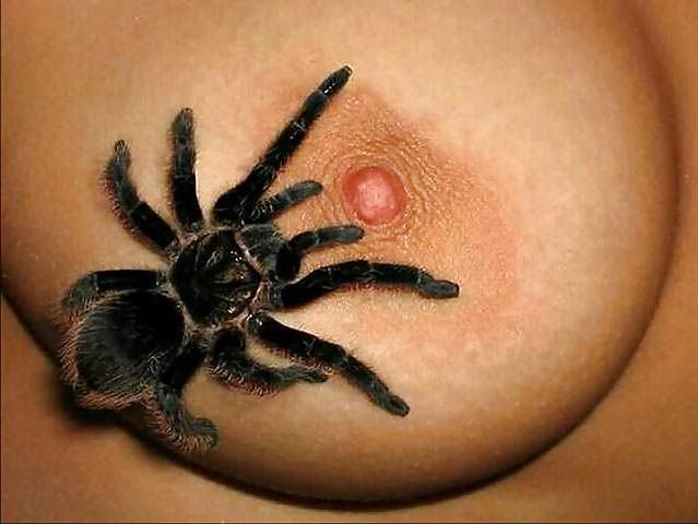 25P Not your average porn pics 15