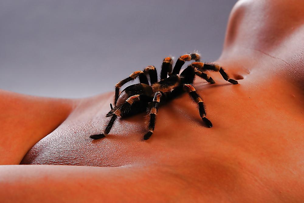 25P Not your average porn pics 15