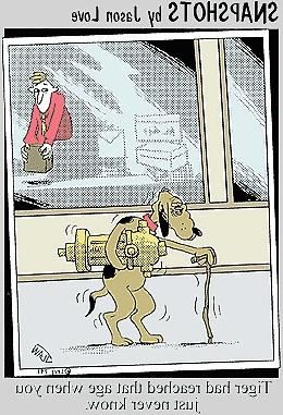 21P Doggietoons 