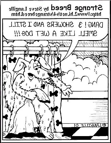 21P Doggietoons 