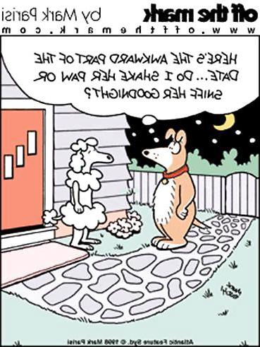 21P Doggietoons 