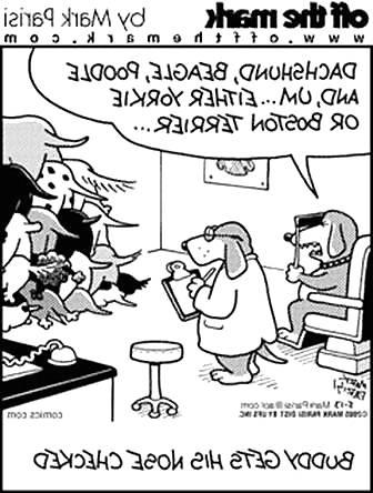 21P Doggietoons 