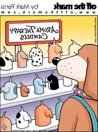 21P Doggietoons 