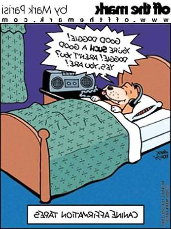 21P Doggietoons 