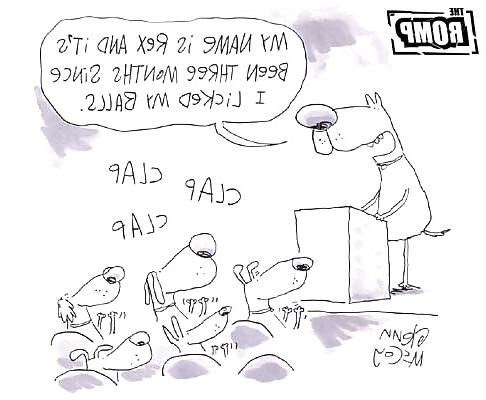 21P Doggietoons 
