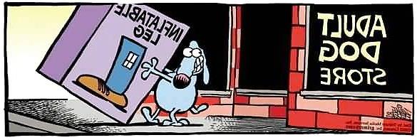 21P Doggietoons 
