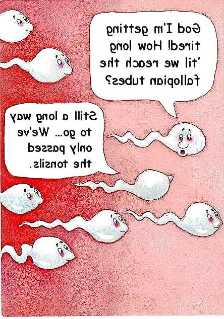 24P Something funny 10