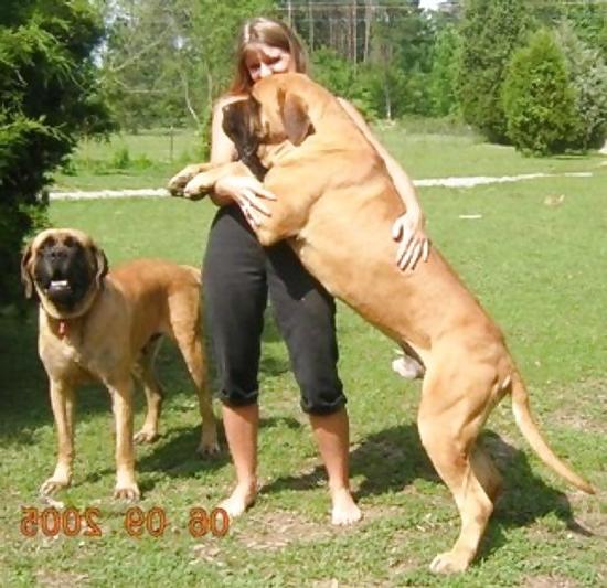 15P Just doggin around