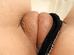 6P CaMeLToE