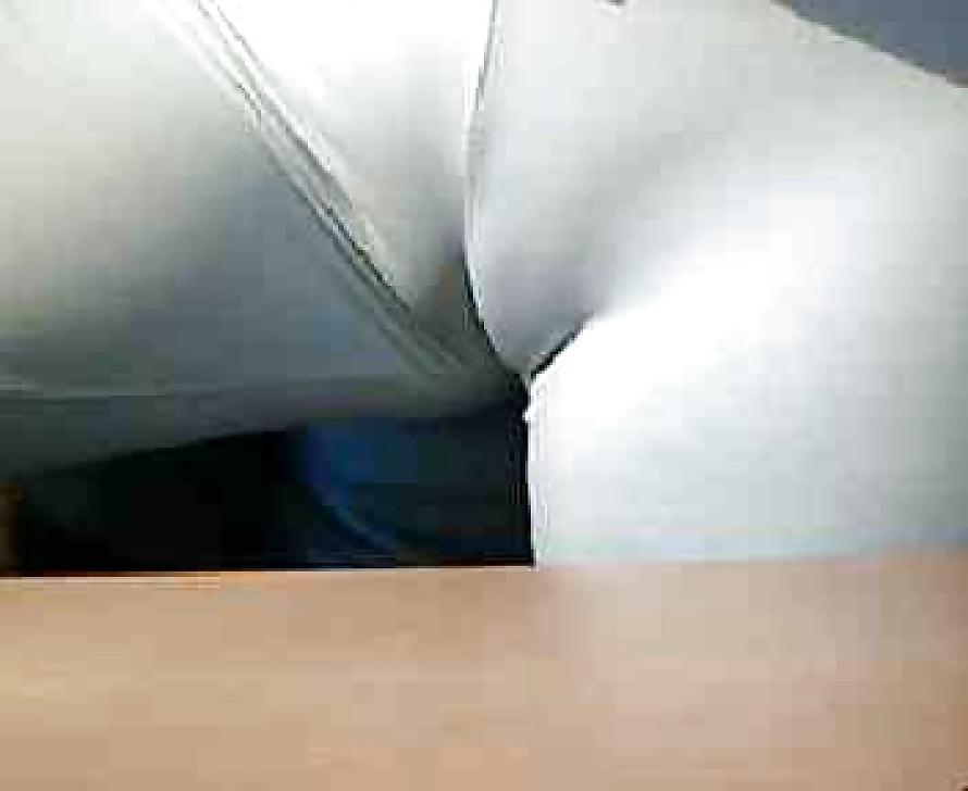25P Legging Camels