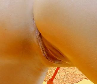 22P Camel Toes.