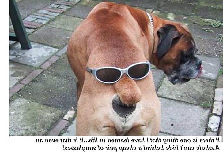 23P Funny 