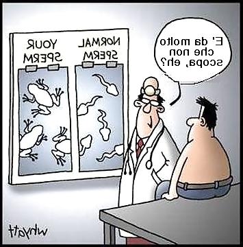 24P Something funny 3