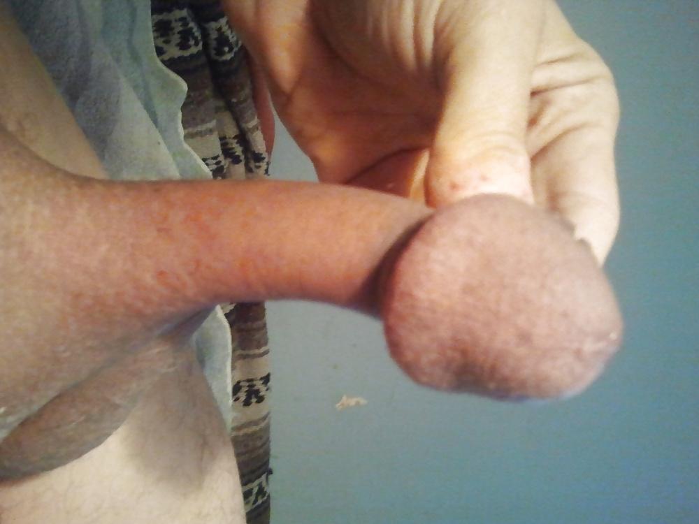15P Mr. Mushroom Head