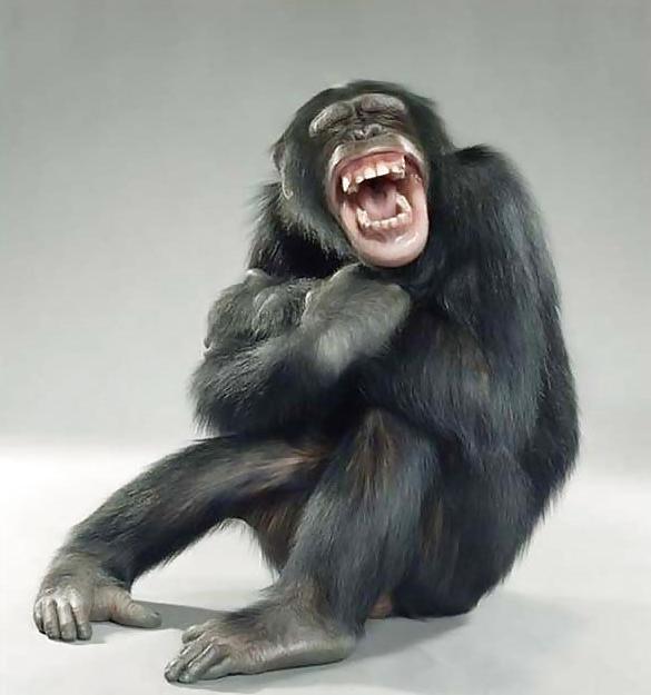 8P Funny