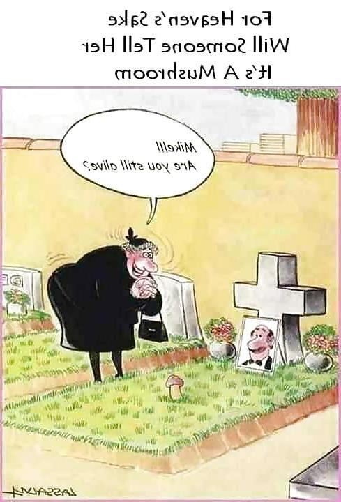 21P Funny