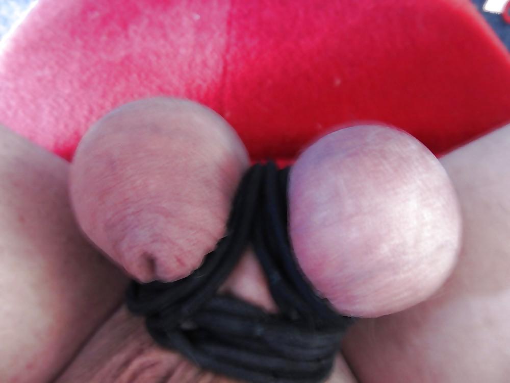 6P SEE MY SUGAR COCK VIDEO